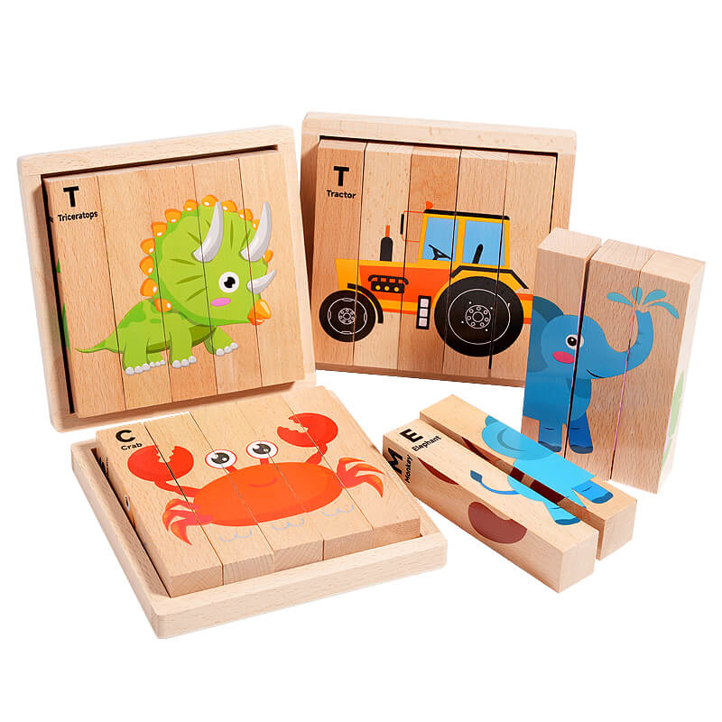 Wooden Puzzle Toy