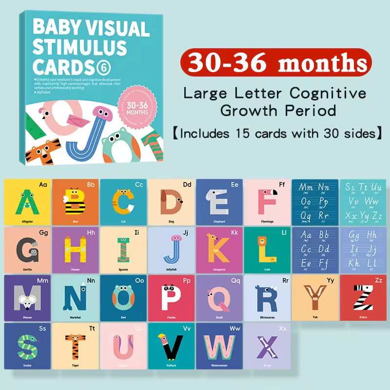 Baby Visual Stimulus Cards