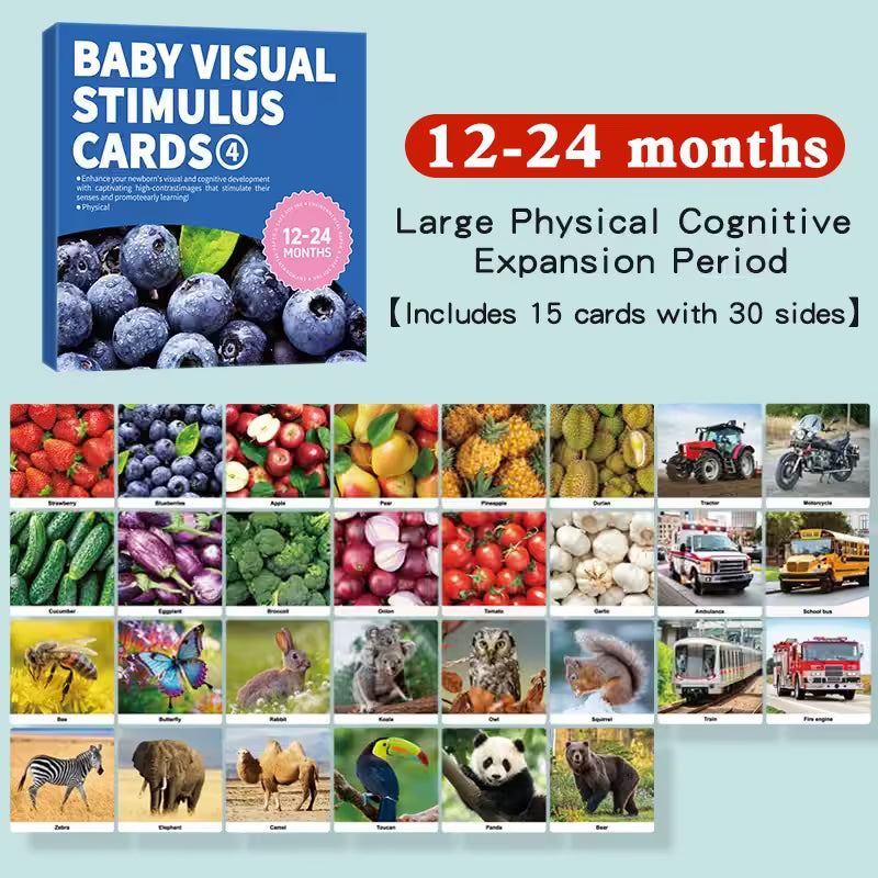 Baby Visual Stimulus Cards