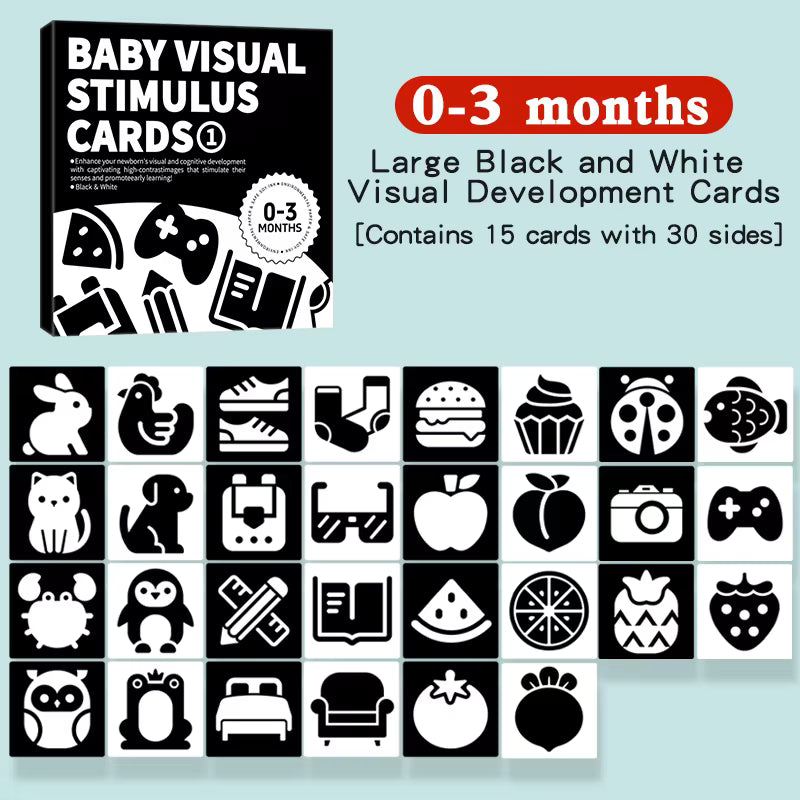 Baby Visual Stimulus Cards